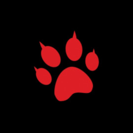 Profile picture of wonderworldworking@gmail.com