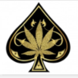 Profile picture of buyaceultra5@gmail.com