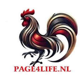 Profile picture of vinhcity20818@gmail.com