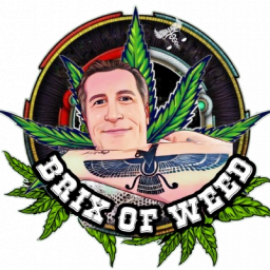 Profile picture of brixcarlisle05@gmail.com