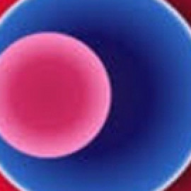 Profile picture of mellowfinance1@gmail.com