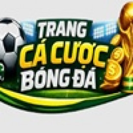 Profile photo of salujawilmeth482@gmail.com