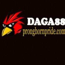 Profile photo of phamvankhanh22754@gmail.com