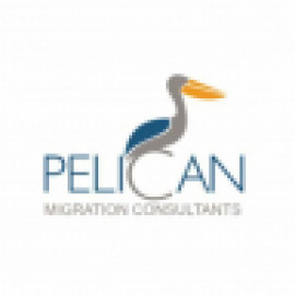 Profile picture of pelicanmigration1@gmail.com