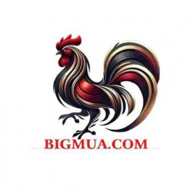 Profile picture of a25618779@gmail.com