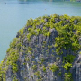 Profile photo of saomaicruises@gmail.com