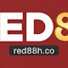 Profile picture of starcalleranita641@gmail.com