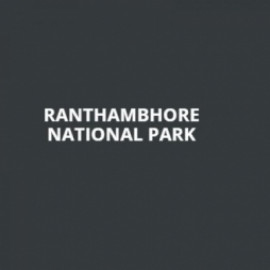 Profile photo of ranthamborenationalpark6@gmail.com