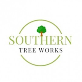 Profile photo of mytreecutter@outlook.com