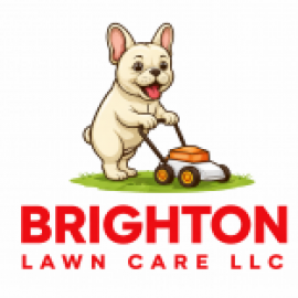 Profile picture of carebrightonlawn@gmail.com