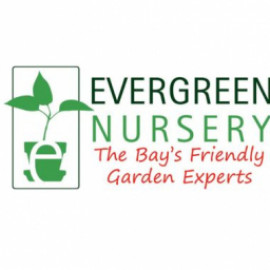 Profile picture of nurserye835@gmail.com