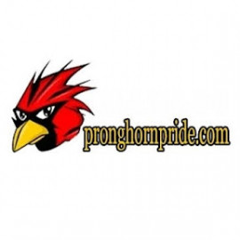 Profile photo of taicucseo1@gmail.com