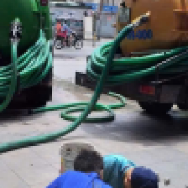 Profile photo of gosmandor.tha954@gmail.com