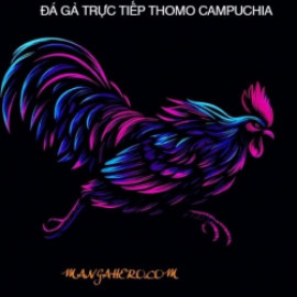 Profile photo of marioalbertopetrizzelli@gmail.com