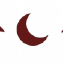 Profile picture of pkmakalah874@gmail.com