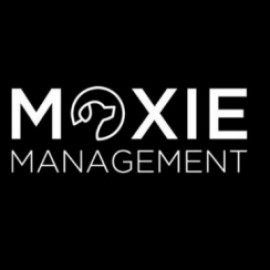 Profile picture of colivingapartments@outlook.com