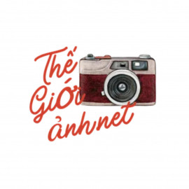 Profile photo of quadrioettore@gmail.com