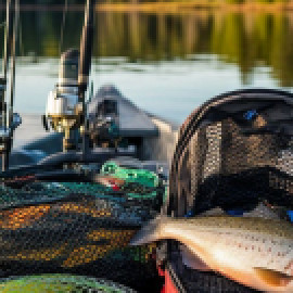 Profile photo of fedoseevahr38p@rambler.ru