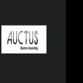 Profile photo of auctuselectro@gmail.com