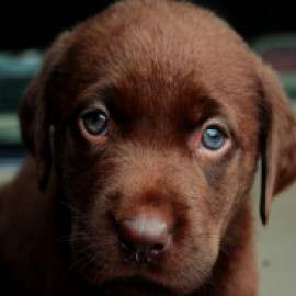 Profile photo of xiyaje9406@exahut.com