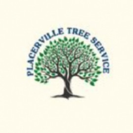 Profile photo of placervilletreeservices@outlook.com