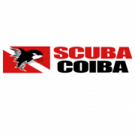 Profile picture of coibascuba@gmail.com