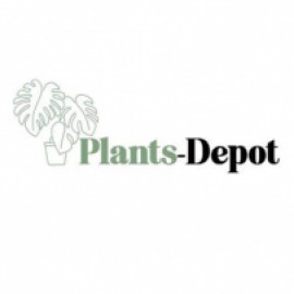 Profile picture of plantsdepot24@gmail.com