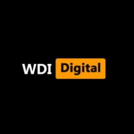 Profile photo of indianwebsitedeveloper9@gmail.com