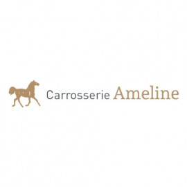Profile picture of carrosserieameline78@gmail.com