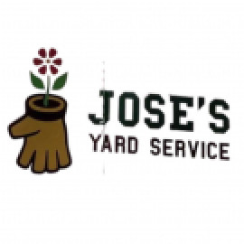 Profile picture of josesyard@dollicons.com