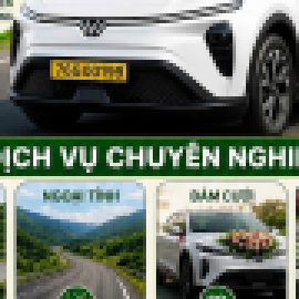 Profile photo of linh.l.uanl.ay381@gmail.com