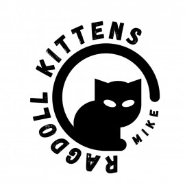 Profile photo of ragdollkittensusa2@gmail.com