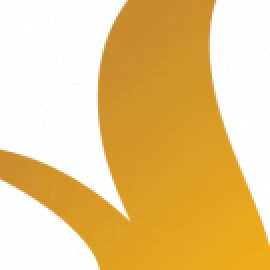 Profile photo of pachecomisna@gmail.com