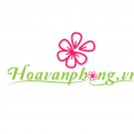 Profile photo of ads.anph.u.office@gmail.com