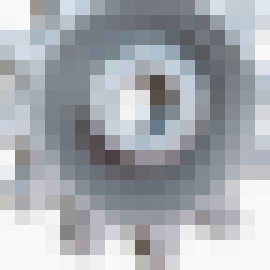 Profile photo of biggicorea@gmail.com