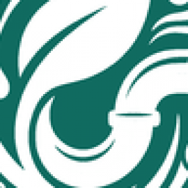 Profile photo of marquiscortorreal785@gmail.com
