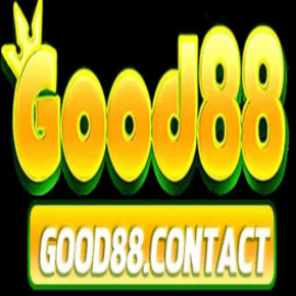 Profile photo of xffwgdsd@gmail.com