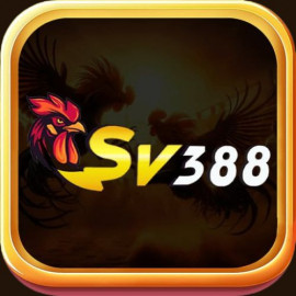 Profile photo of damviet419@gmail.com