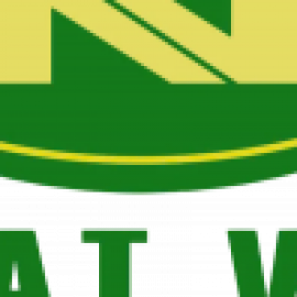 Profile photo of nhatvietlogistics2@gmail.com