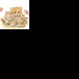 Profile photo of Beata4m0s