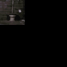 Profile photo of pes868bn