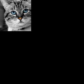 Profile picture of 9d8d8bn3kl3d7j