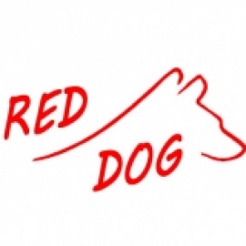 Profile photo of Peter Feltham