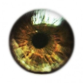 Profile picture of Burcin Cem Arabacioglu