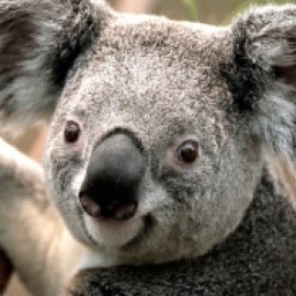 Profile picture of John McCaveny