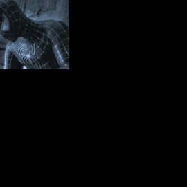 Profile picture of blocks244df